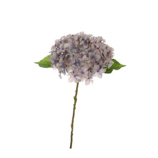 SHORTSTEM HYDRANGEA 40CM BLUE