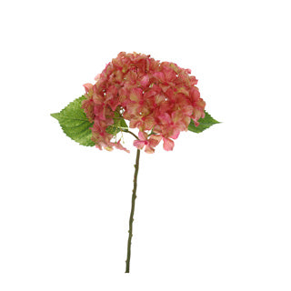 SHORTSTEM HYDRANGEA 40CM RED