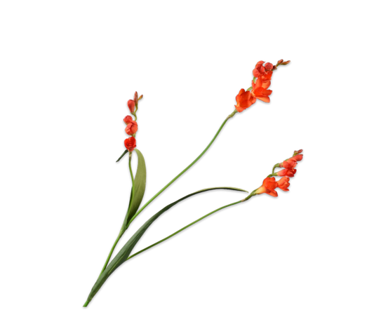 SILK-KA FREESIA TAK ORANGE